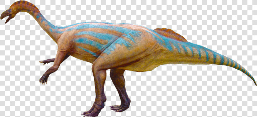 Tyrannosaurus  HD Png DownloadTransparent PNG