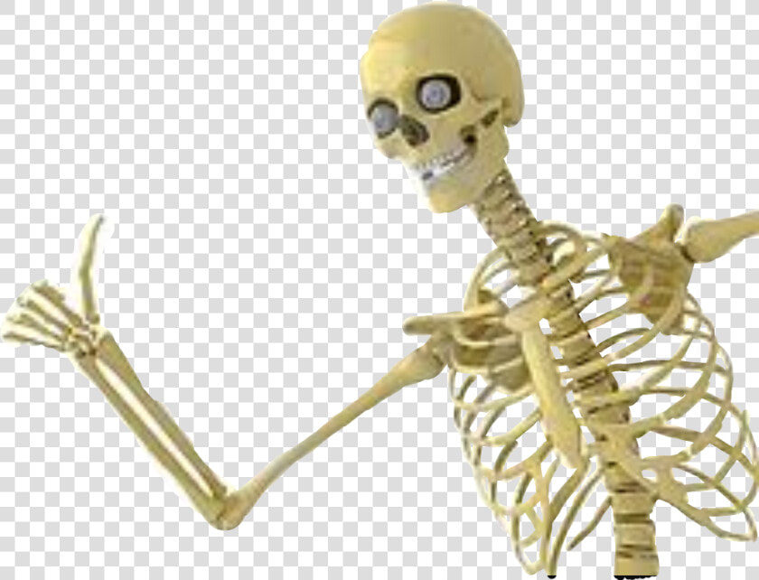  esqueleto  freetoedit   Skeleton Giving Thumbs Up  HD Png DownloadTransparent PNG