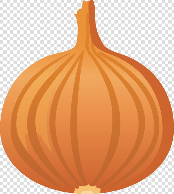 Transparent Onions Clipart   Yellow Onion  HD Png DownloadTransparent PNG