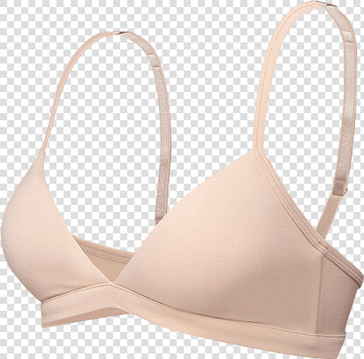 Delilah 3d Image   Brassiere  HD Png DownloadTransparent PNG