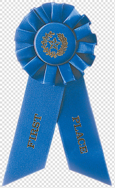 1st Place Blue Rosette Ribbon   Ribbon Medals  HD Png DownloadTransparent PNG