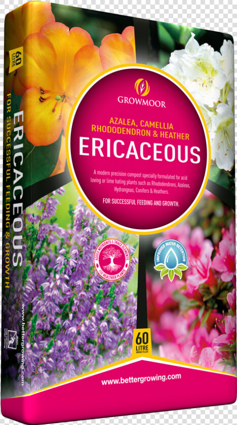 Ericaceous Compost   Evergreen Rose  HD Png DownloadTransparent PNG