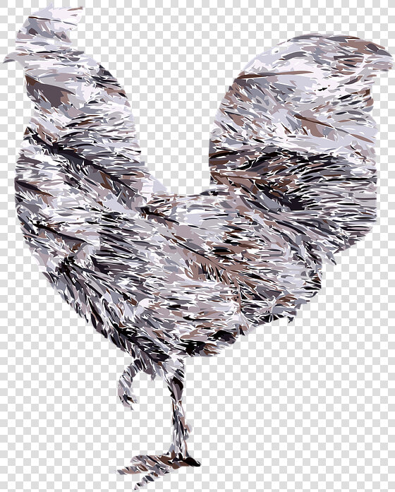 Rooster Chicken Bird   Rooster  HD Png DownloadTransparent PNG