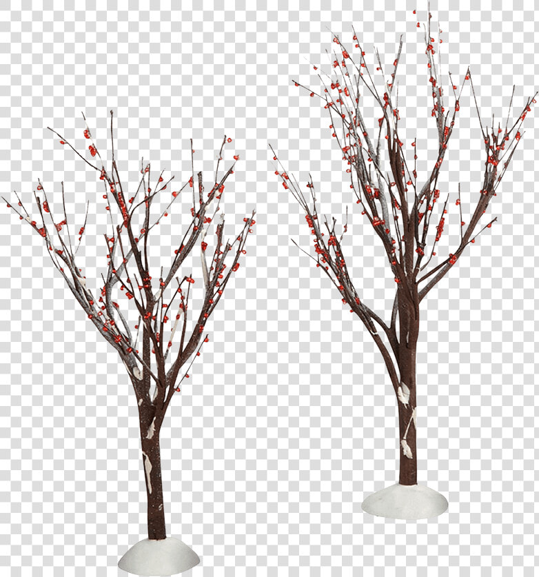 Winter Berry Trees   Twig  HD Png DownloadTransparent PNG