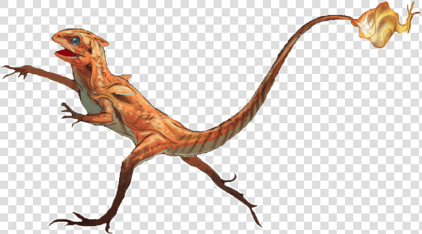 Transparent Charmander   Charmander Realistic  HD Png DownloadTransparent PNG