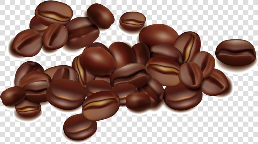 Coffee Bean Seed   Coffee Bean Vector Png  Transparent PngTransparent PNG