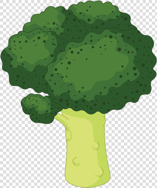 Lettuce Clipart Broccoli   Cute Broccoli Clipart Transparent Background  HD Png DownloadTransparent PNG