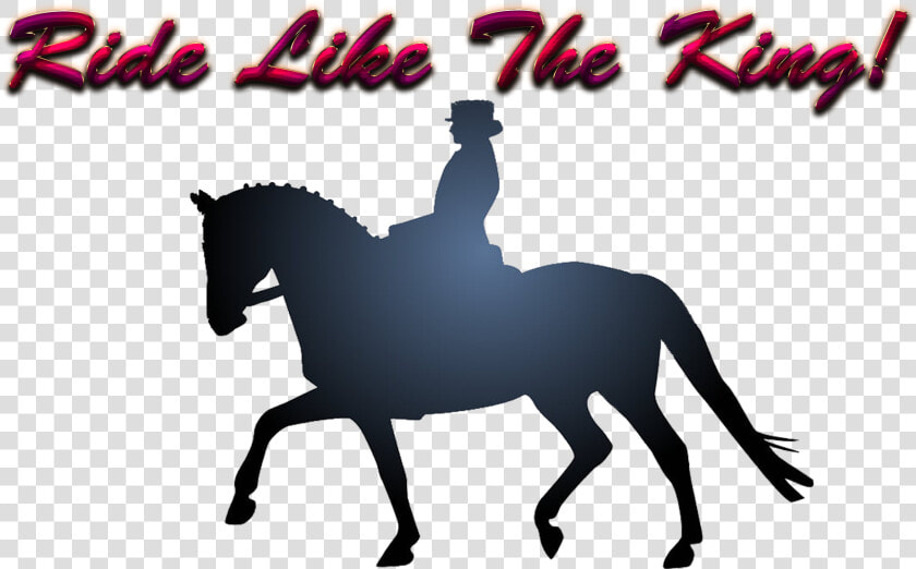 Ride Like The King Png Free Image Download   Aksel Turizm  Transparent PngTransparent PNG