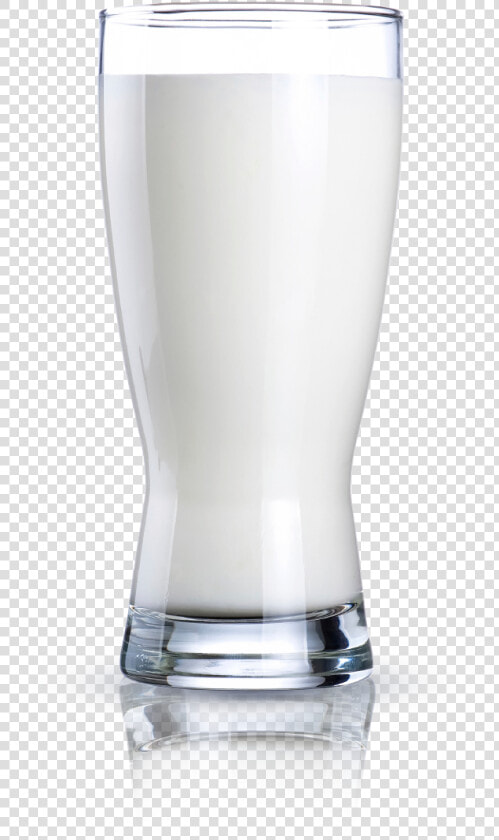 La Calidad Es Un Idioma Universal   Beer Glass  HD Png DownloadTransparent PNG