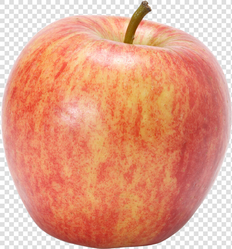 Gala Apples Png   Honeycrisp Apple Transparent Background  Png DownloadTransparent PNG