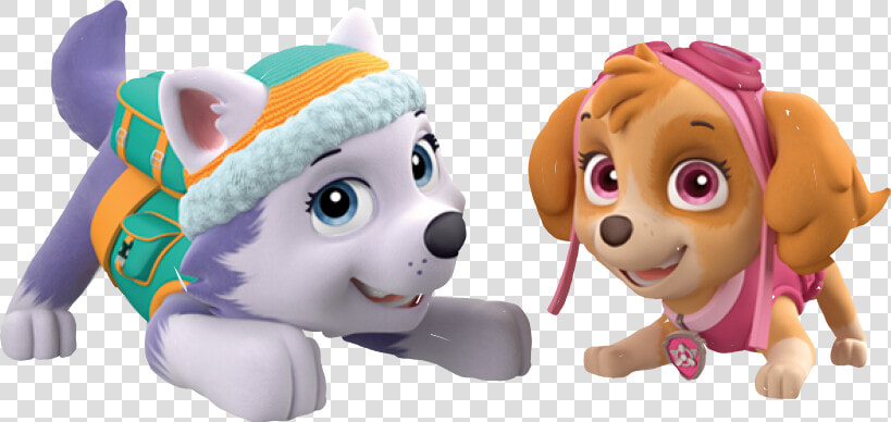 Paw Girl Grp 004 Cgi   Skye And Everest Paw Patrol Png  Transparent PngTransparent PNG