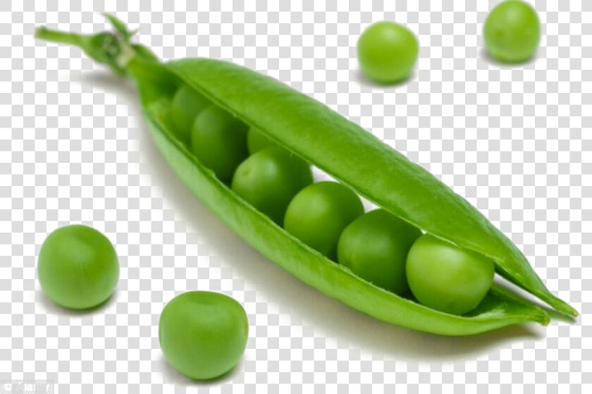 Pea Png Transparent Image   Peas Means  Png DownloadTransparent PNG