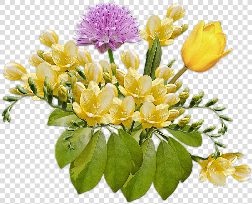 Flowers  Bouquet  Posy  Freesia  Tulip  Composition   Bouquet Of Tulip Transparent  HD Png DownloadTransparent PNG