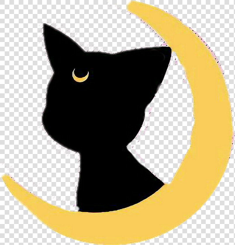  sailormoon  cat  gato  cute  luna  moon   Gatito De Sailor Moon  HD Png DownloadTransparent PNG