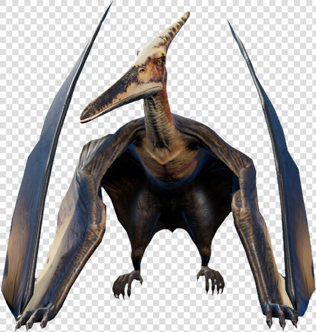     Jurassic World Evolution Pteranodon  HD Png DownloadTransparent PNG