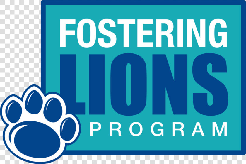 Fostering Lions Program   Evening With James Blunt  HD Png DownloadTransparent PNG