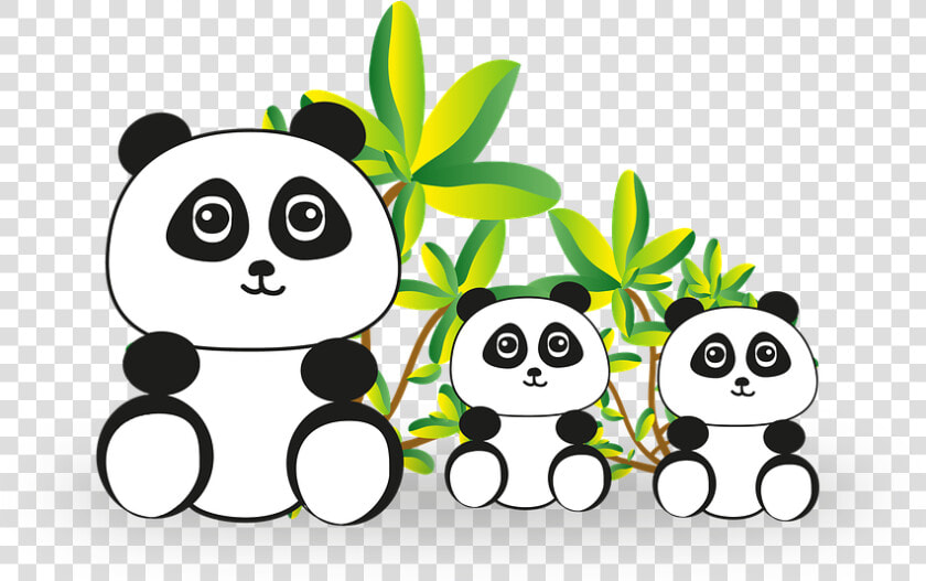 Panda  Panda Bear  Bear  Endangered  China   Lập Dàn Ý Miêu Tả Một Cảnh Đẹp Ở Địa Phương Em  HD Png DownloadTransparent PNG