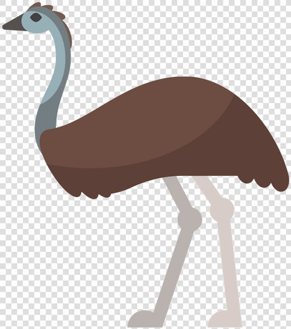 Emu Vector   Png Download   Emu Cartoon Australian Animals  Transparent PngTransparent PNG