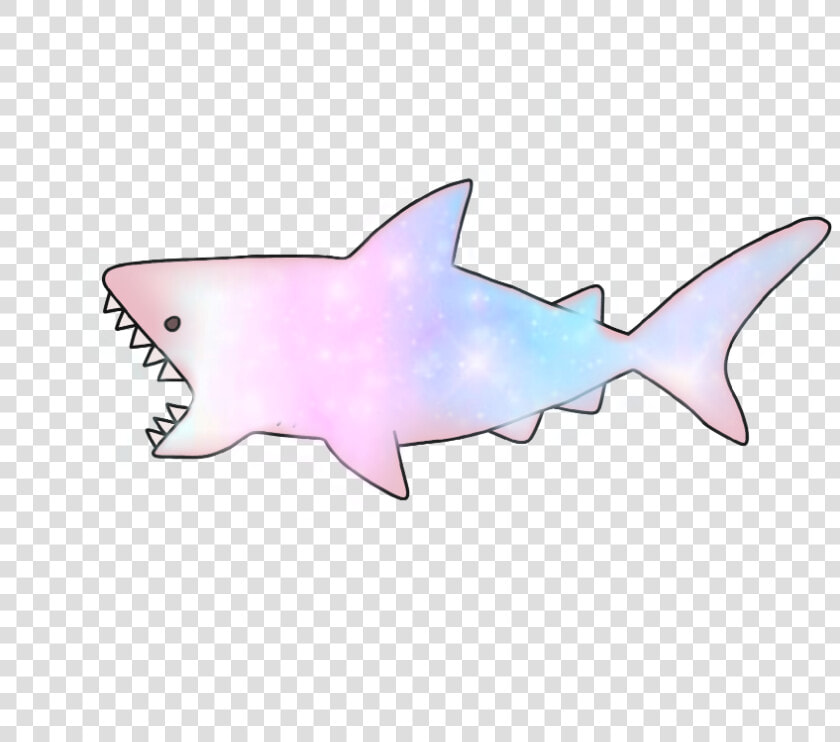  shark  galaxy  cute  ocean  HD Png DownloadTransparent PNG