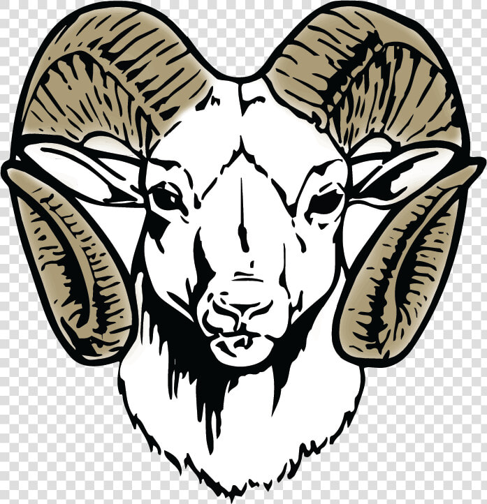 Argali sheep head line Art goat Antelope wing black   Newton County High School Mascot  HD Png DownloadTransparent PNG