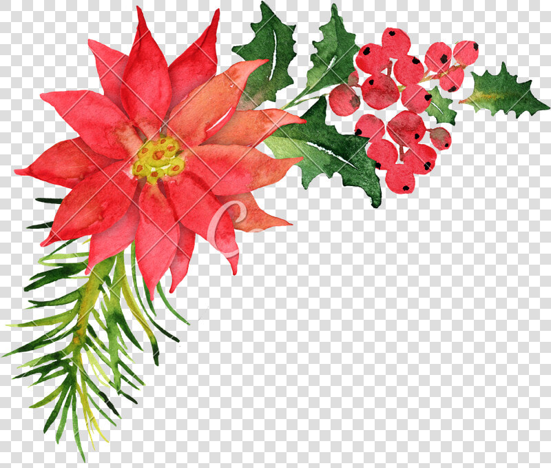 Christmas Bouquet Png   Poinsettia Christmas Wreath Watercolor  Transparent PngTransparent PNG