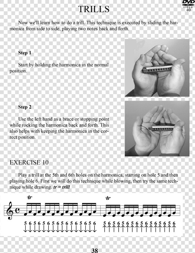 Technique Harmonica  HD Png DownloadTransparent PNG