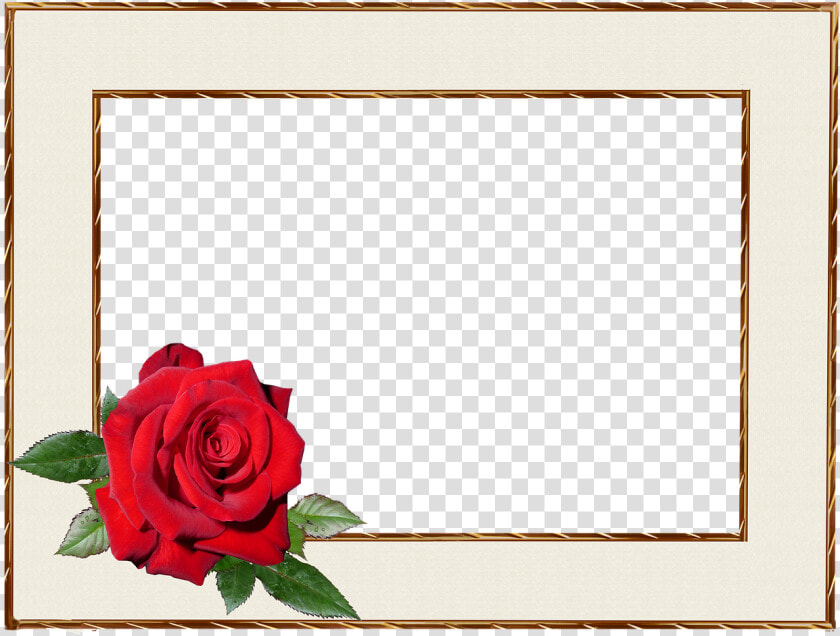 Picture Frame Empty Margin Free Picture   ברכות ליום הולדת לסבתא  HD Png DownloadTransparent PNG