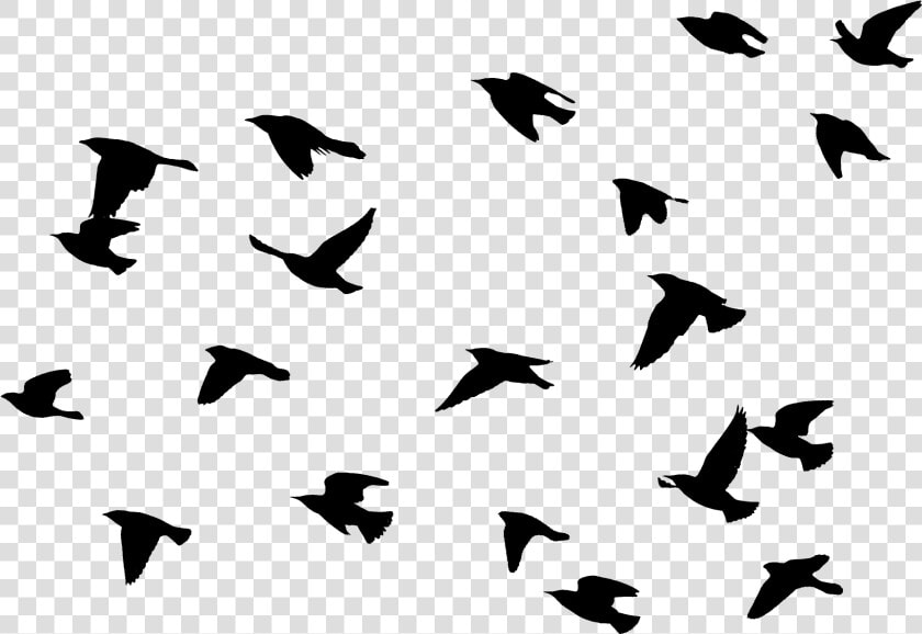 Bird Flying Png  download File   Easy Bird Flying Painting  Transparent PngTransparent PNG