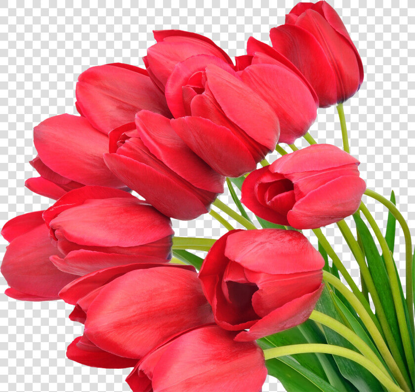 Download For Free Bouquet Of Flowers Icon   S 8 Marta Mama  HD Png DownloadTransparent PNG