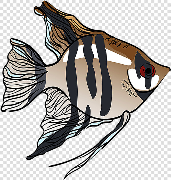 Angelfish   Png Download  Transparent PngTransparent PNG