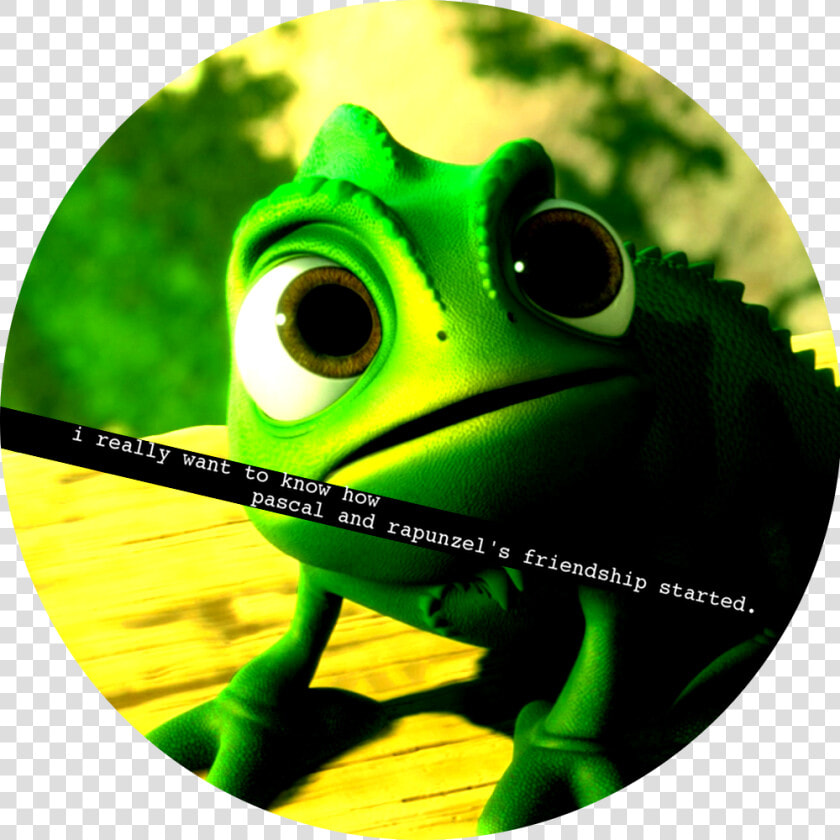 Pascal Tangled  HD Png DownloadTransparent PNG