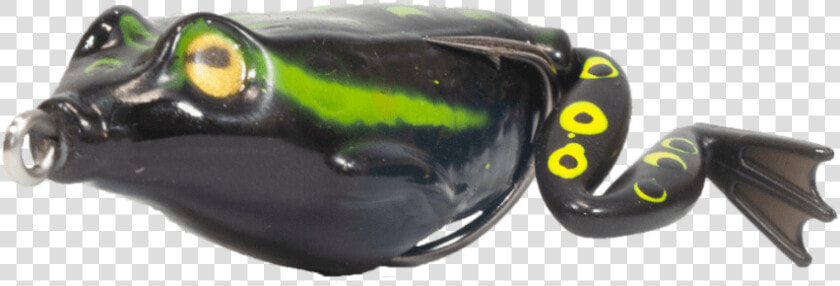 Anura Black   Fire Salamander  HD Png DownloadTransparent PNG