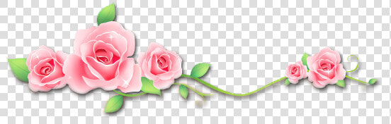  roses  flowers  vinesandleaves  divider  header  textline   Garden Roses  HD Png DownloadTransparent PNG