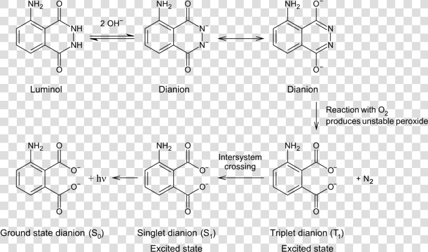 Luminol To 3 Aminophthalate  HD Png DownloadTransparent PNG