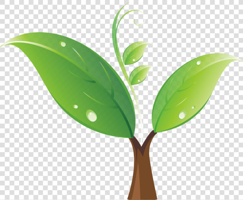 Planting Clipart Sprout   Tree Seedling Clipart  HD Png DownloadTransparent PNG