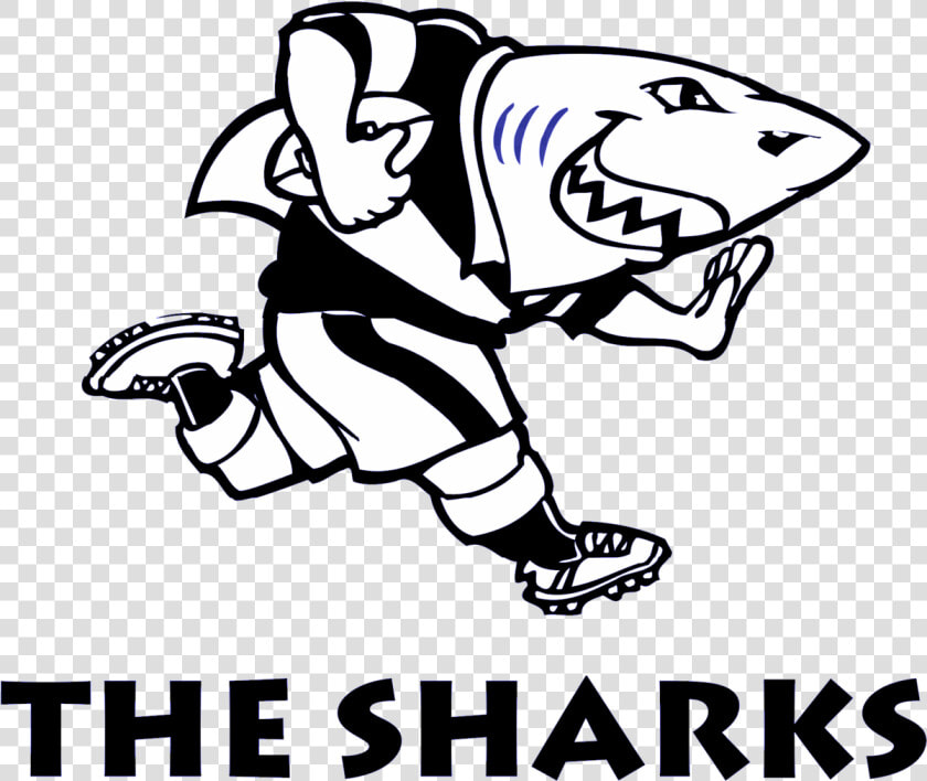 Sharks   Cell C Sharks Logo  HD Png DownloadTransparent PNG