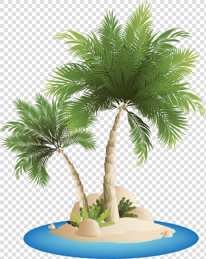 Islands Beach Clip Art   Beach Coconut Tree Png  Transparent PngTransparent PNG