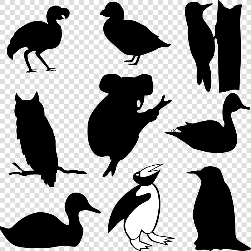 Birds Silhouettes And A Koala Clip Arts   Owl On Branch Silhouette  HD Png DownloadTransparent PNG