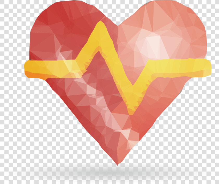 Photography Euclidean Vector Illustration   Love  HD Png DownloadTransparent PNG