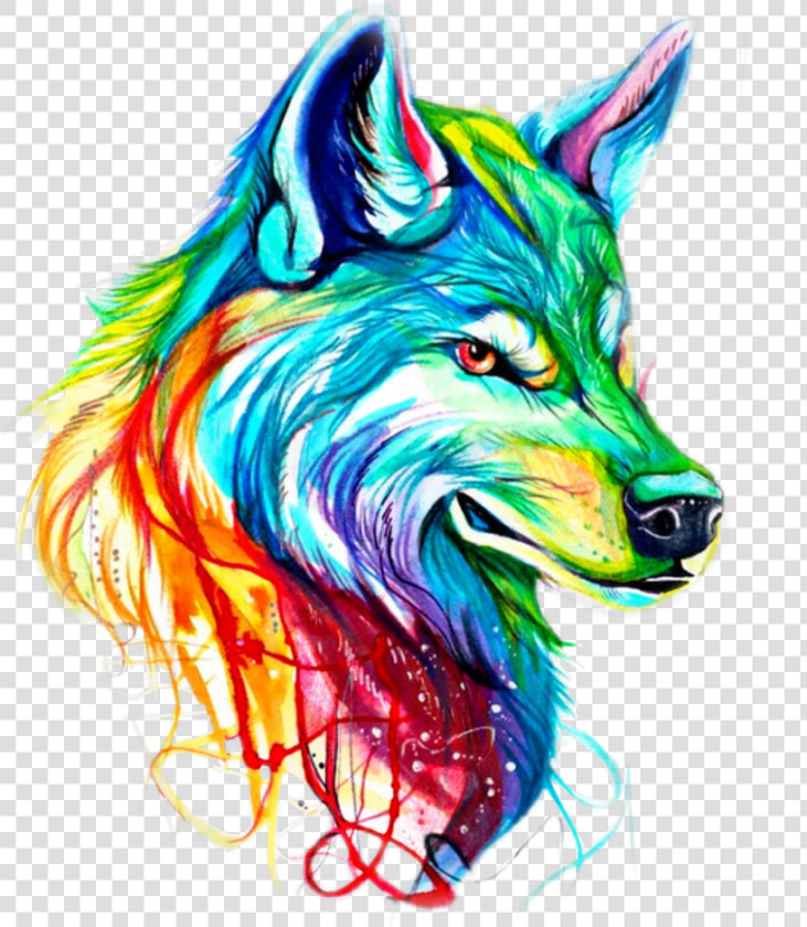 Rainbow Clipart Wolf   Imagens De Lobo Colorido  HD Png DownloadTransparent PNG