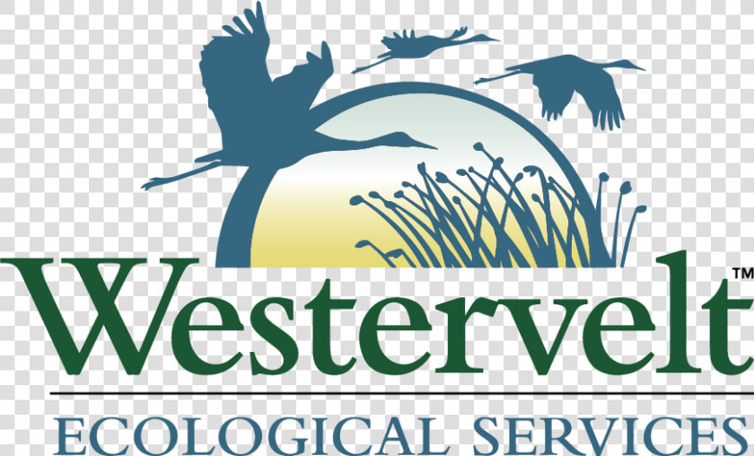 Westervelt Ecological Services  HD Png DownloadTransparent PNG