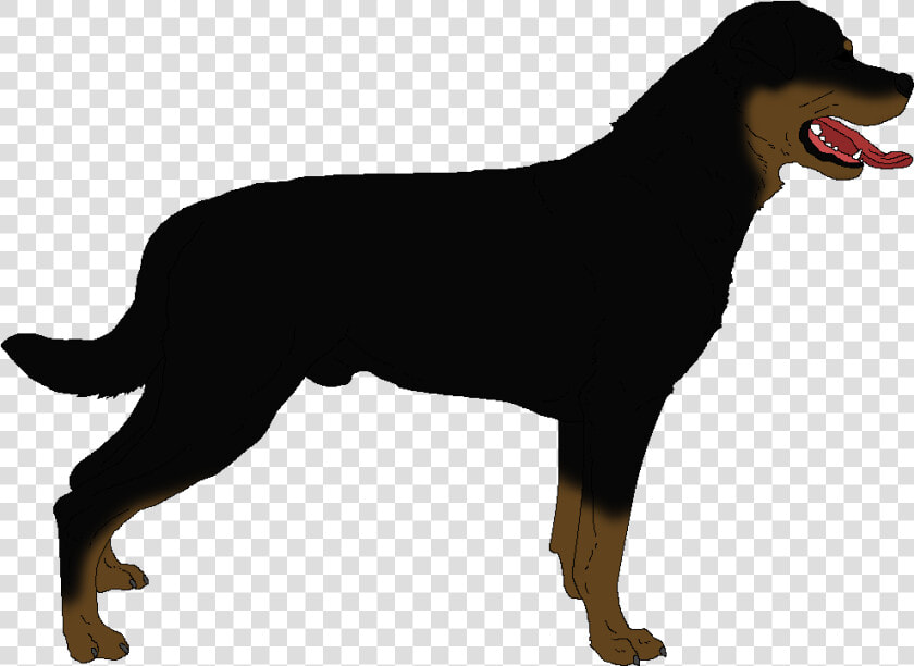 Rottweiler Clip Art   Rottweiler Png  Transparent PngTransparent PNG