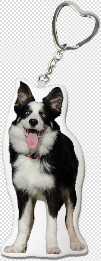 Collie Dog Keychain   Keychain  HD Png DownloadTransparent PNG