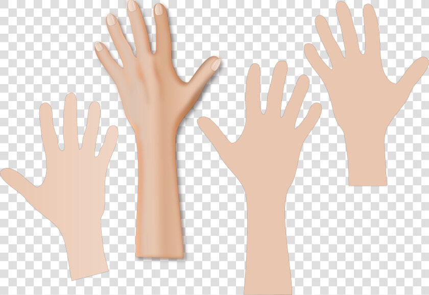 Collection Of Skin   World Hand Hygiene Day 2019  HD Png DownloadTransparent PNG