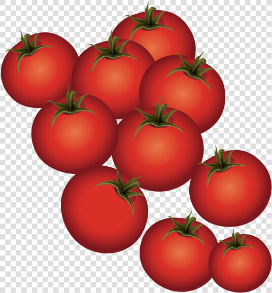 Plum Tomato Bush Tomato   Cherry Tomatoes  HD Png DownloadTransparent PNG