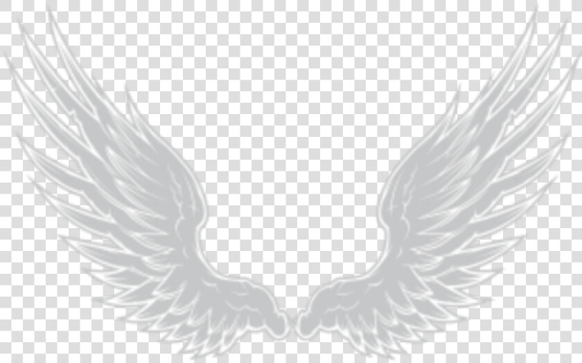 Transparent Angels Wings Png   Imagen De Alas Png  Png DownloadTransparent PNG