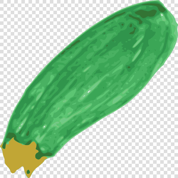 Zucchini Png Images   Clip Art  Transparent PngTransparent PNG