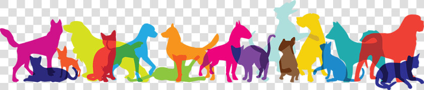 Multicolor Pets   Cartoon  HD Png DownloadTransparent PNG