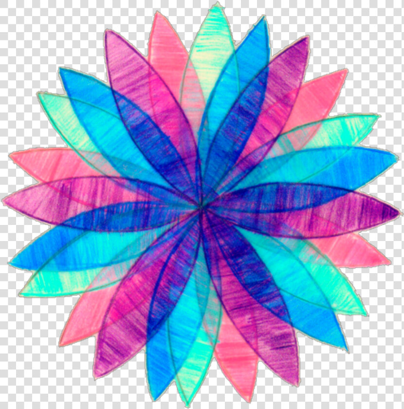 Transparent Mandala Clipart   Cuidado Diario Com O Rosto  HD Png DownloadTransparent PNG