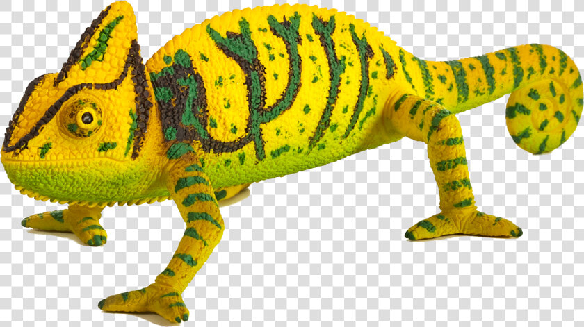 Chameleon Toy  HD Png DownloadTransparent PNG